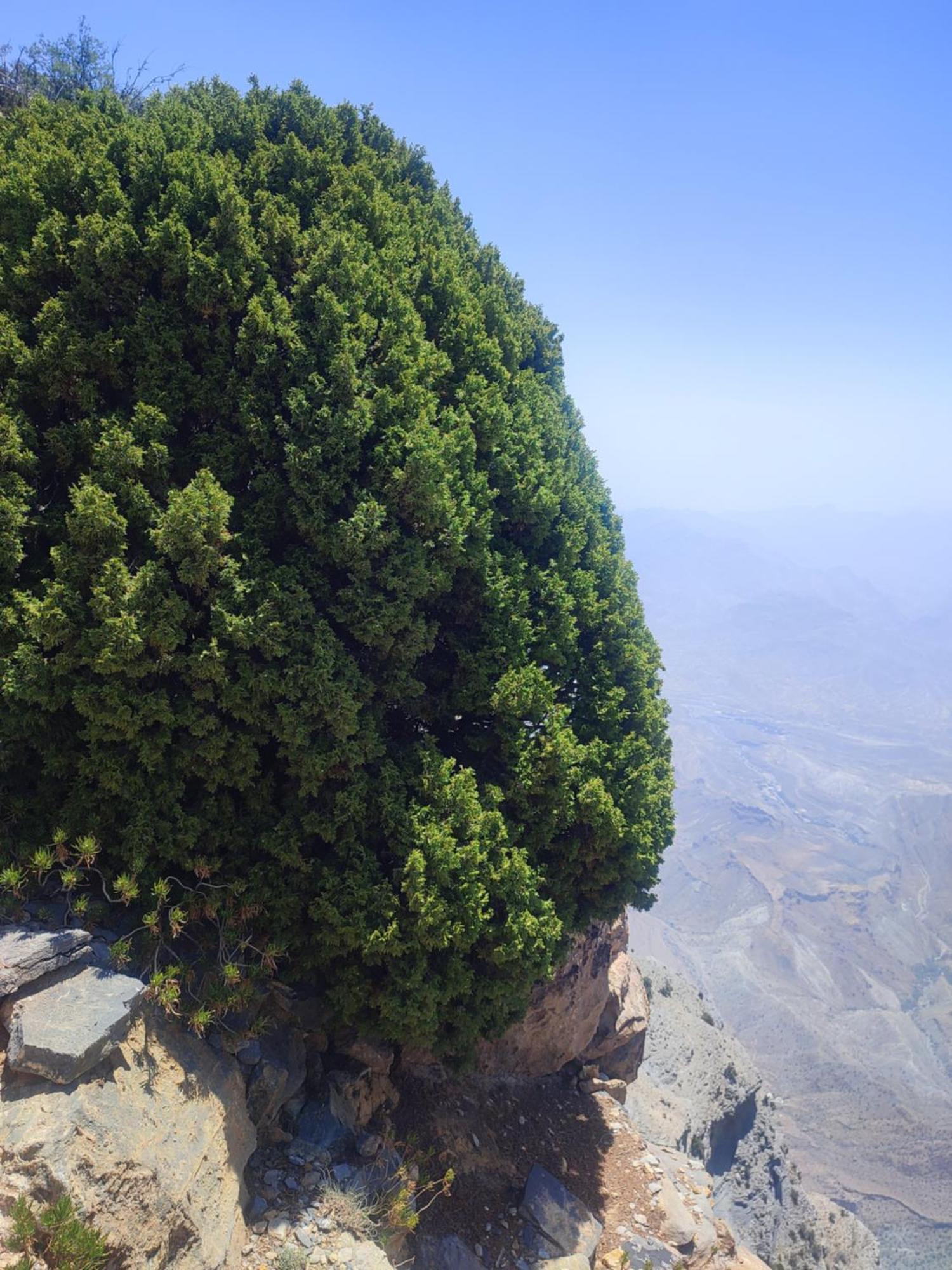 Stone Rest House Jebel Shams Al Ḩamrāʼ Exterior foto